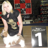 ши-тцу выставки